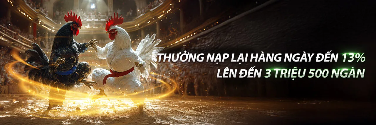 Sân đá gà trực tuyến 6ff1 với không khí sôi động và các chiến kê dũng mãnh